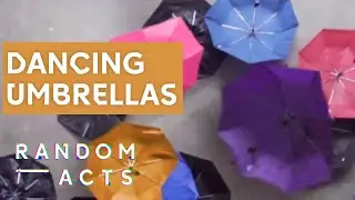The story of an iconic accessory | Umbrella by Tell No One | Short Film | Random Acts