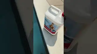 pH level in pool #pool #poolmaintenance #chemistry