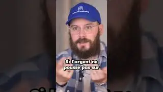 Argent qui pousse sur les arbres ? Oui, mais uniquement si vous plantez les