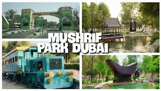 Dubai Mushrif Park | Relax with Nature Trees  Global  houses #beautifulnature @Learn Eat And Explore