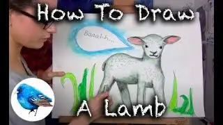 Learn how to draw A LAMB: STEP BY STEP GUIDE! (Age 5 +)