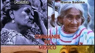 MAMATRIX SOLTARSE DE LAS MAQUINAS NO HAY Guerrer@s, pura SOLEDAD y la risa quedaron  no