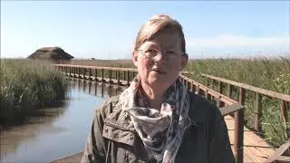 Vejlerne