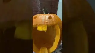#funny