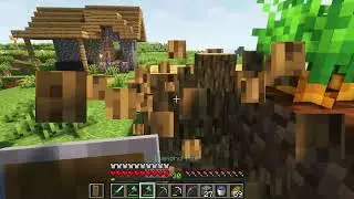 Minecraft survival episode 2