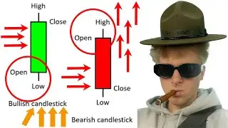 Candlesticks & OLHC — Krab's Ultimate 2026 Bootcamp DAY 1