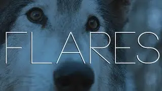 Game of Thrones || Flares