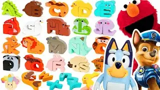 Paw Patrol Toys Best Learning Video for Kids Alphabet Letter | Animal Puzzle for Toddlers