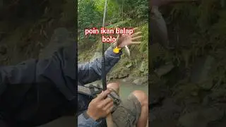 mancing ikan nilem sungai #mancing #mancingikan #fishing #ikannilem