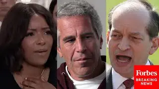 Crockett Claims Alex Acosta Was 'Victim Shaming' During Meeting With Democrats Over Epstein Deal