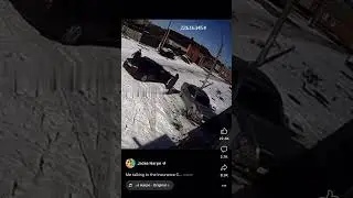 Random horse smashes car window #car #horse