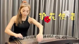 来一首帅帅的【护花使者】Musical Instruments Guzheng Cover古筝曲 #music #guzheng #古筝 #musiclover