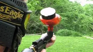 Brass Eagle Tigershark