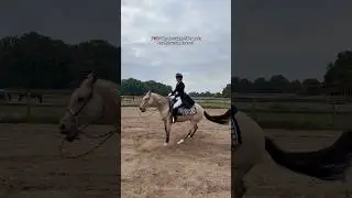 Иииииии 🤠👌🏻 Я просто обожаю вестерн 🥰 #конныйспорт #лошадь #короткометражка