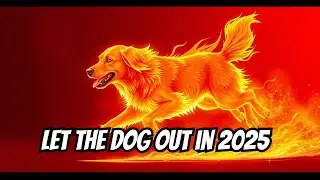 Romance, Leadership, and Health for the Dog in 2025