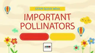 Important Pollinators