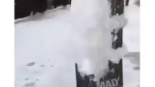 a snow hare is locked in a pole