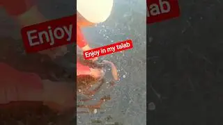 relies the golden fish in my pond in my village 🐠🐬|| #shorts #shortsfeed #ytshorts #youtubeshorts