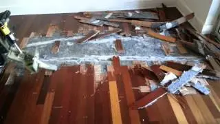 The 5700 Ride On Floor Scraper by Gabriel homes construction