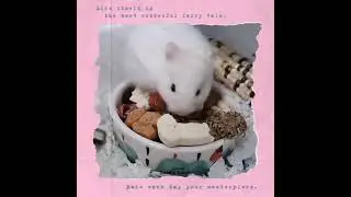 Hamster Food Bowl Small Animals Ceramic Food Water Bowl Prevent Tipping Moving for Guinea Pig