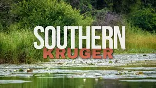 Southern Kruger National Park: Ultimate Safari Guide 🌍🐾