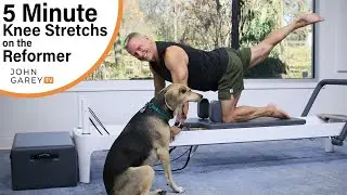 5 Minute Reformer Series - Knee Stretch and Reverse Knee Stretch Workout