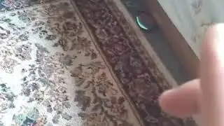 Telekenetic?
