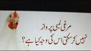 MashaAllah #ahadees mubrka#viralshort