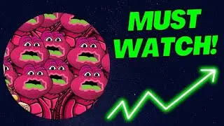 JERRY THE TURTLE: NEW MEME COIN $JYAI HAS HUGE POTENTIAL!