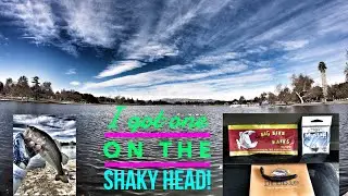 Trying Out New Baits-Lake Balboa