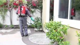 What To Expect: House Pest Control