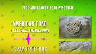 Frog and Toad Calls of Wisconsin