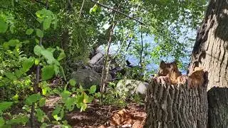 WISCONSIN. A hidden Gem.