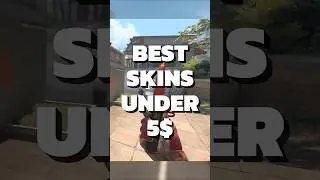 Five skins under 5$! #csgo #cs2 #csskins
