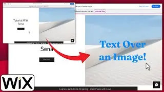 How To Add Text Over an Image on WIX | Add Text When You Hover Over an Image in WIX! - 2026