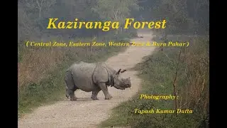 Kaziranga | Assam | Central Zone | Western Zone | Eastern Zone | Bura Pahar | Tapash Kumar Dutta