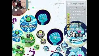 Insane Agar.io pre-split