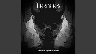 INSVNE (feat. PlvgueDxctxr)