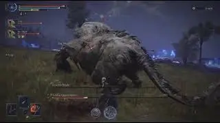 ELDEN RING NIGHTREIGN Carrying Randoms to beat Everdark Libra