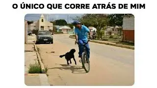 MEMES EM IMAGENS - O ÚNICO QUE CORRE ATRÁS DE MIM