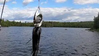 Triggering Big Fish the New 79 Trigger