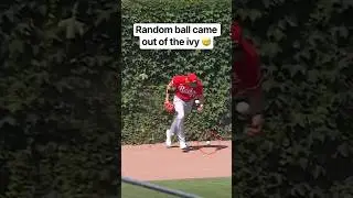 How long has that ball been stuck there? 😭