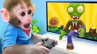 Monkey Baby Bon Bon and the Funny Zombie| Nursery Rhymes & Kids Songs |Bobby Kids Songs #animalshome