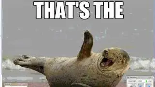 Pinnipeds