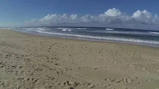 Discovery Beach, Marcoola (QLD) - dogexplorer.com.au
