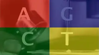 The Cinema Show - A.G.C.T. [Official Music Video]