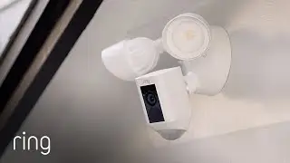 Представляем Ring Floodlight Cam Wired Plus | Ring