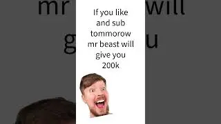 Slaytastic #funny #memes #art #love #greenscreen #monkey #cute #nft #quotes #manifestation