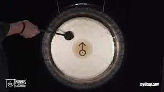 Paiste 24