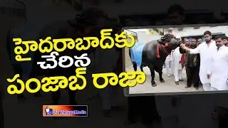 Sadar Festival 2016 |  Buffalo Yuva Raju Participating in #SadarFestival, #2016, #Hyderabad